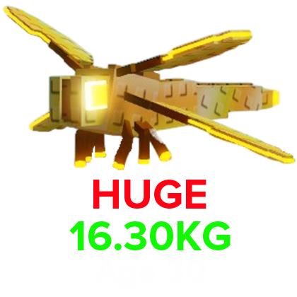 Dragonfly (HUGE) (16.30KG Age 30)