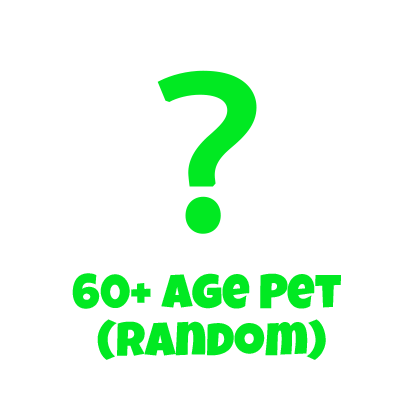60+ Age Pet (Random)