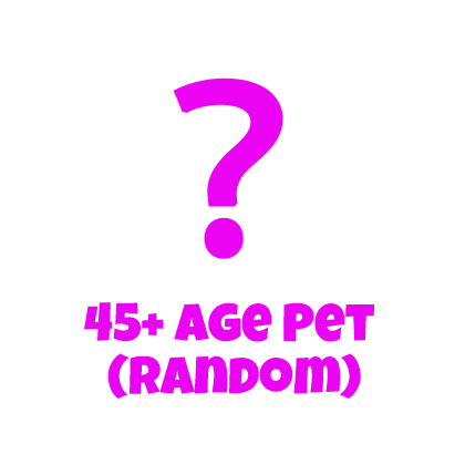 45+ Age Pet (Random)
