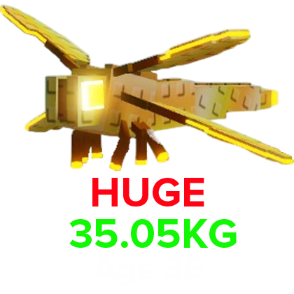 Dragonfly (HUGE) (35.05KG Age 36)