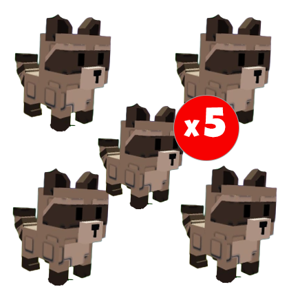 x5 Raccoon