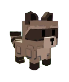 Mega Raccoon (HUGE) (38-40KG Age 100)