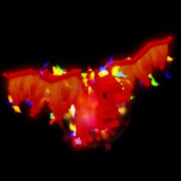 Mega Rainbow Phoenix (HUGE) (280-290KG Age 500)