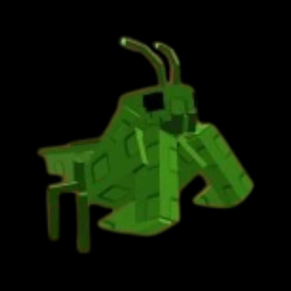 Praying Mantis