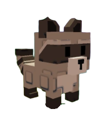 Raccoon