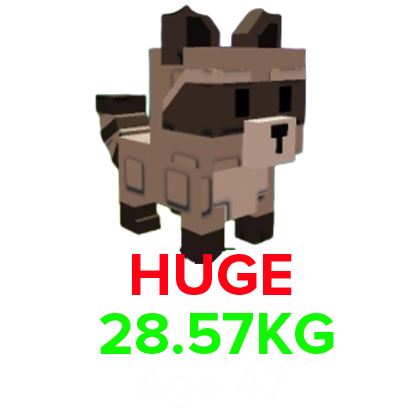 Bhuge Racoon Raccoon(HUGE) (28.57KG Age 47) Grow a Garden – Value, Abilities, Rarity ...