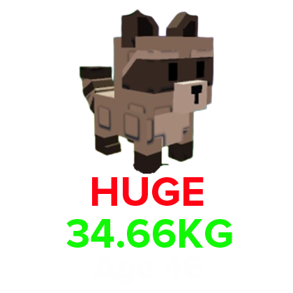 Grow a Garden Items All Server Raccoon(HUGE) (34.66KG Age 46)