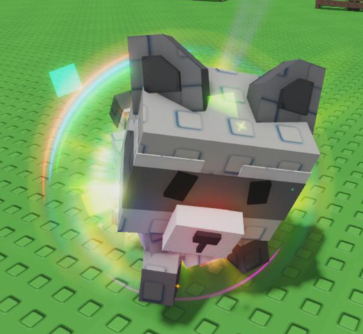 Rainbow Raccoon
