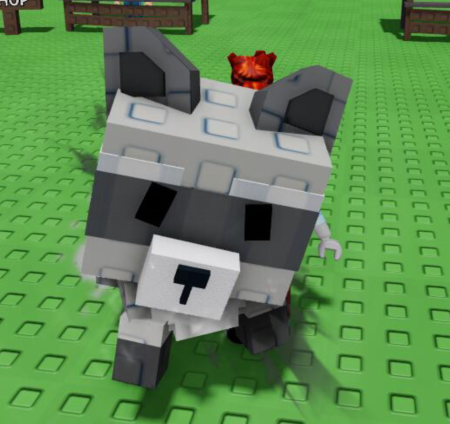 Windy Raccoon
