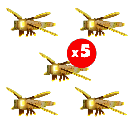 x5 Dragonfly