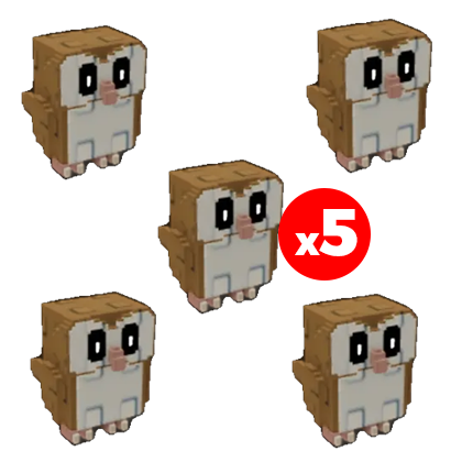 x5 Barn Owl