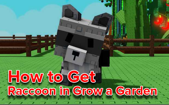 How to Get Raccoon in Grow a Garden – Fast & Safe Guide | GrowAGardenPet